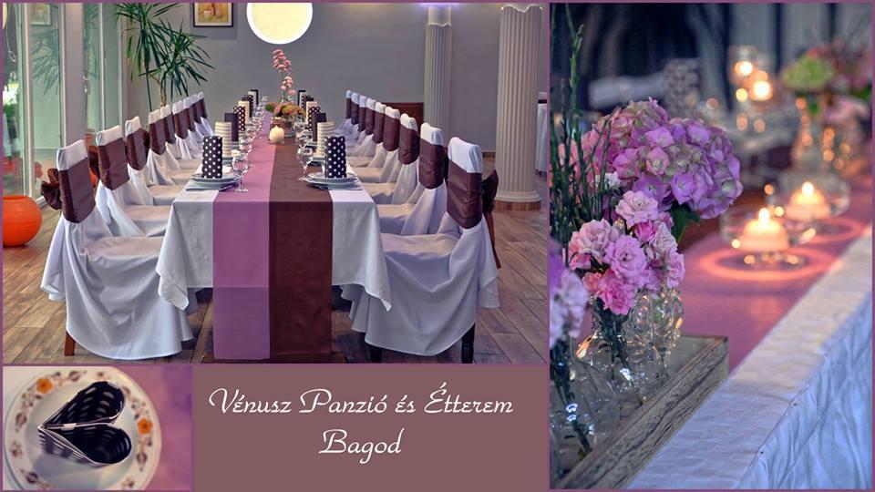 Bagod Venusz Panzio Es Vendeglo Bed & Breakfast エクステリア 写真